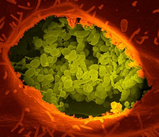 Bondi Road Medical Centre is in the heart of the Eastern Suburbs